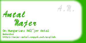 antal majer business card